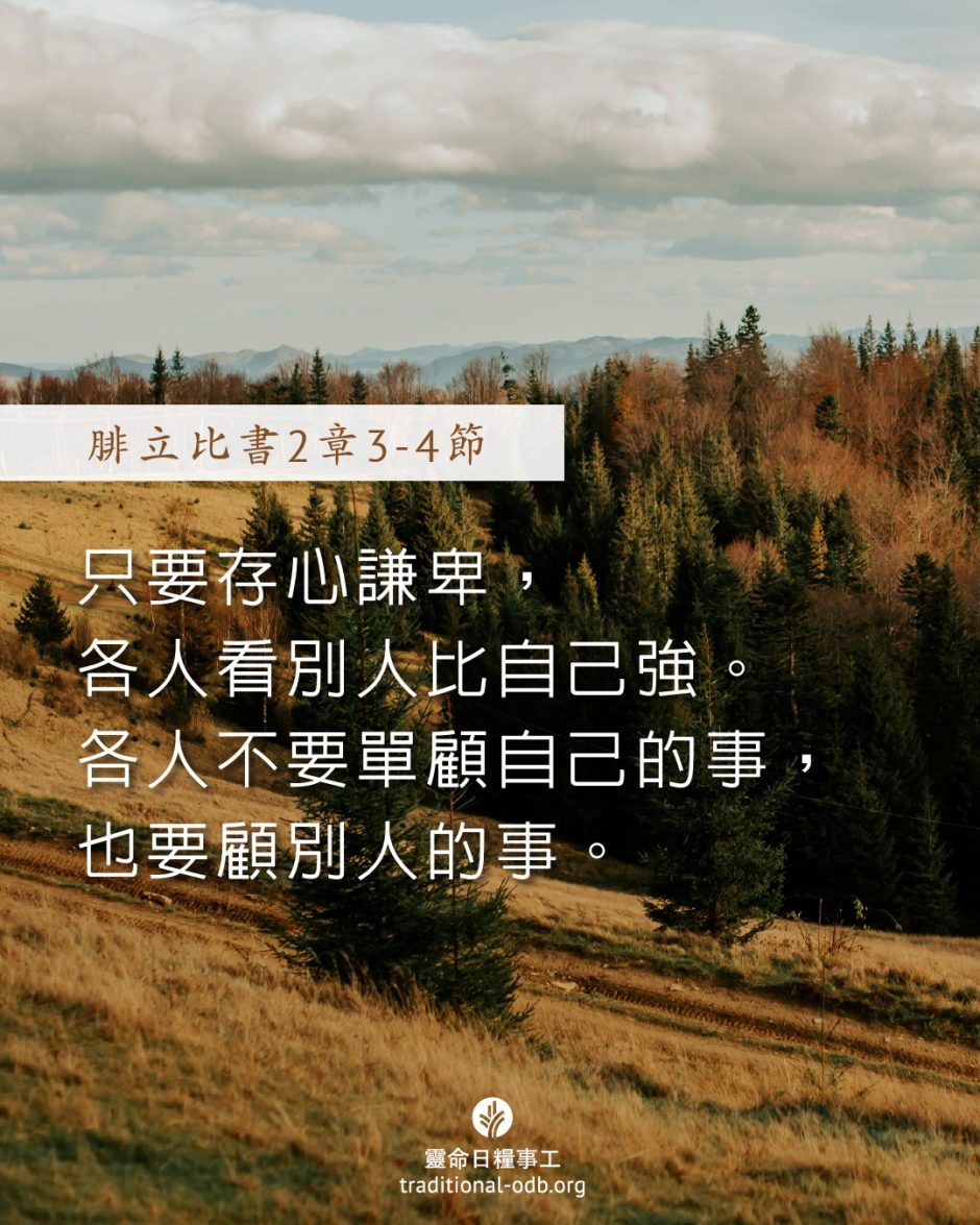 share_odb_2025-10-06 TC