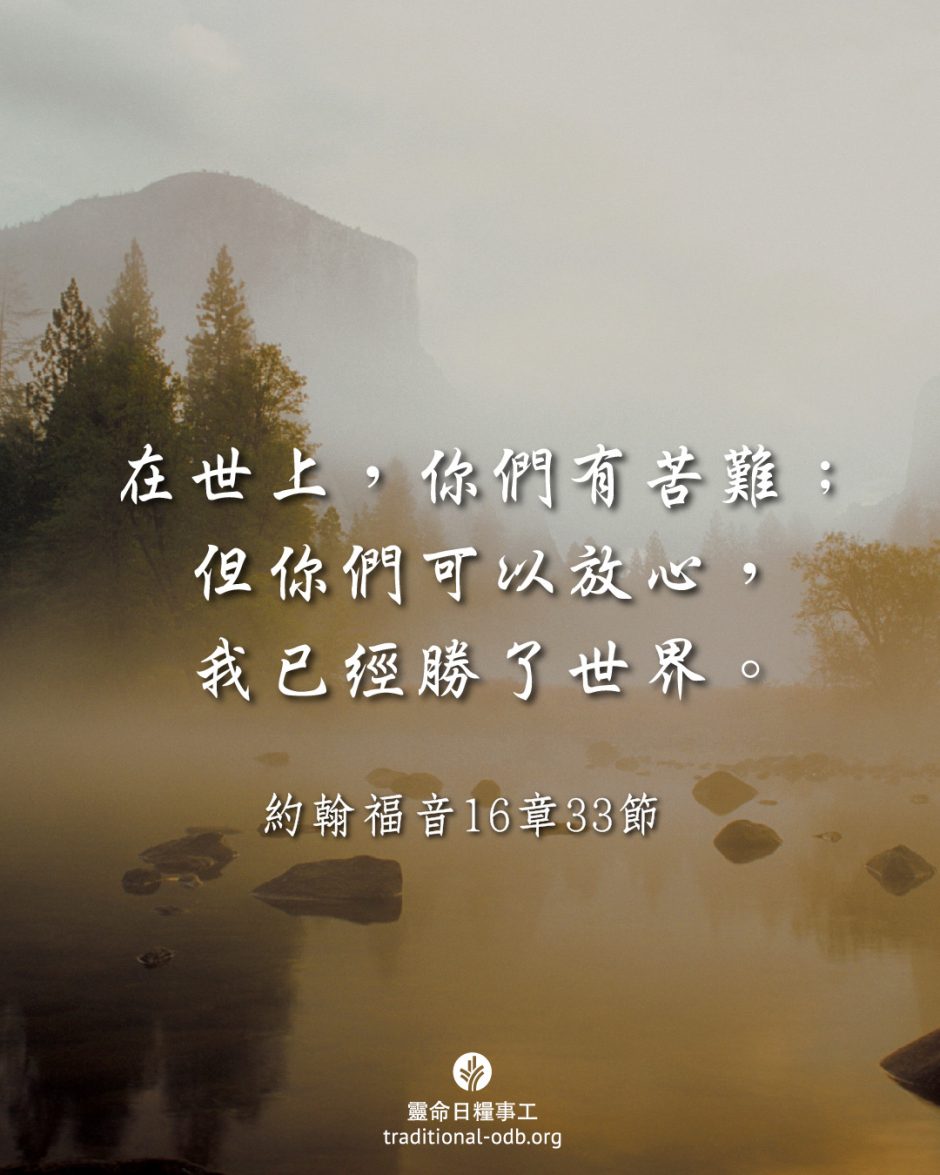 share_odb_2025-10-07 TC