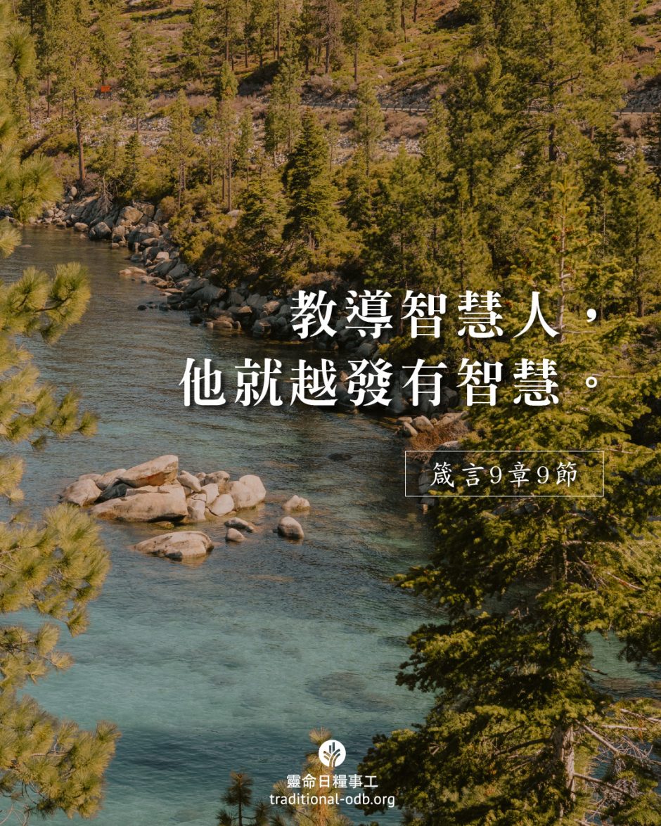 share_odb_2025-10-02 TC