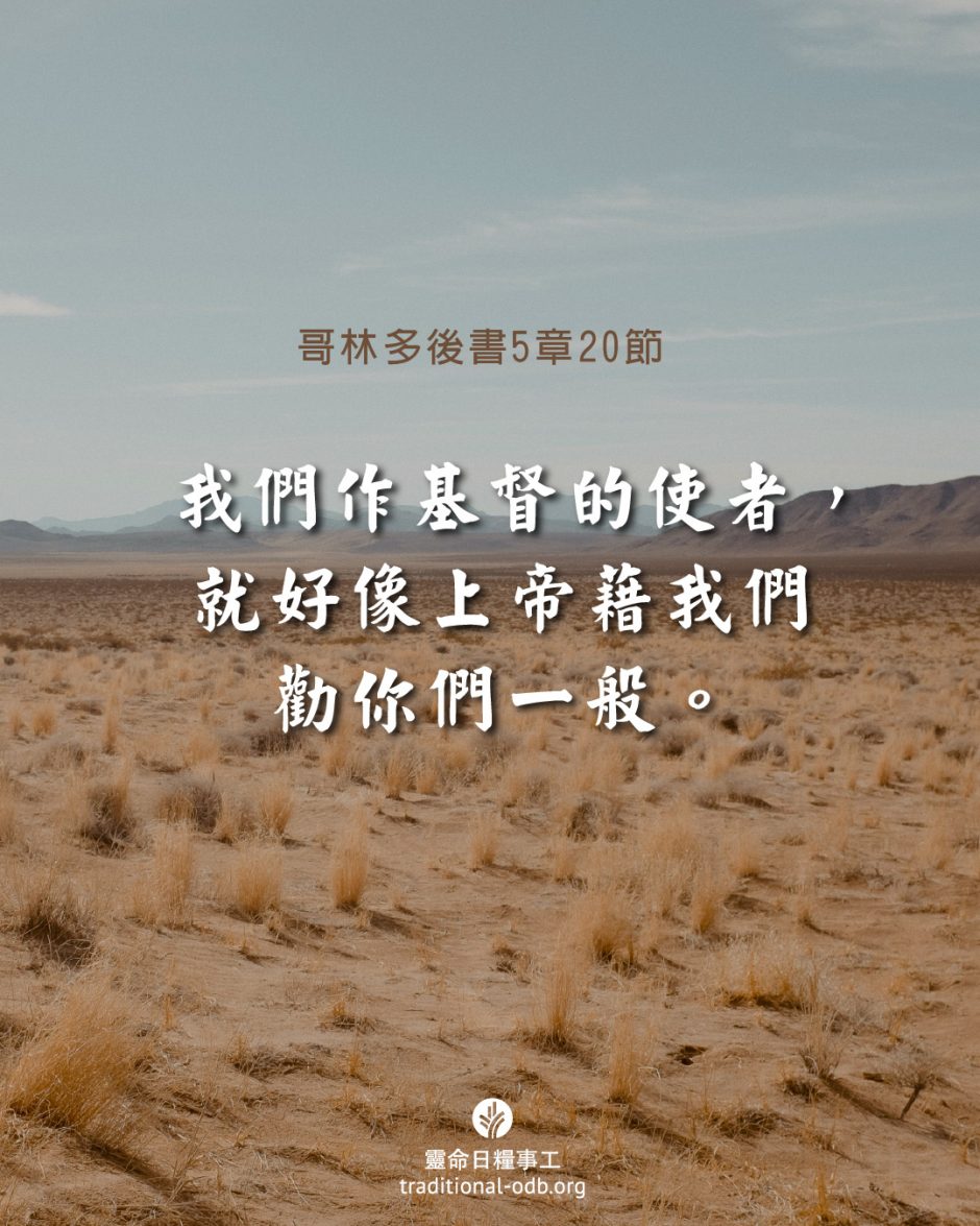 share_odb_2025-10-03 TC