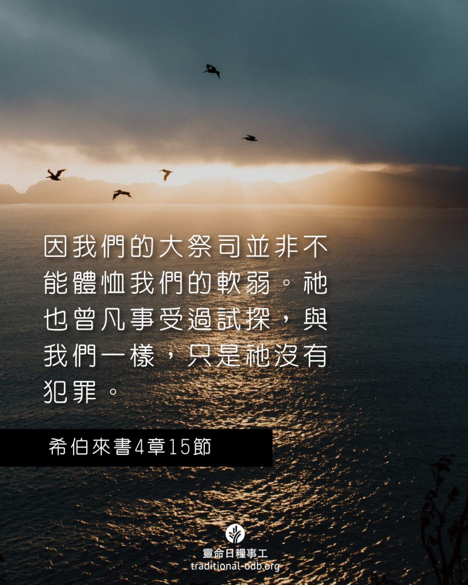 share_odb_2025-10-04 TC