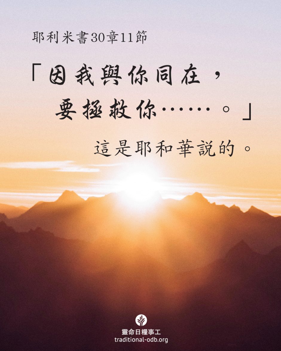 share_odb_2025-11-24 TC