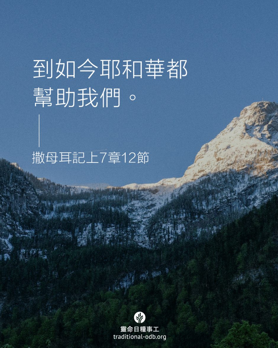 share_odb_2025-11-25 TC