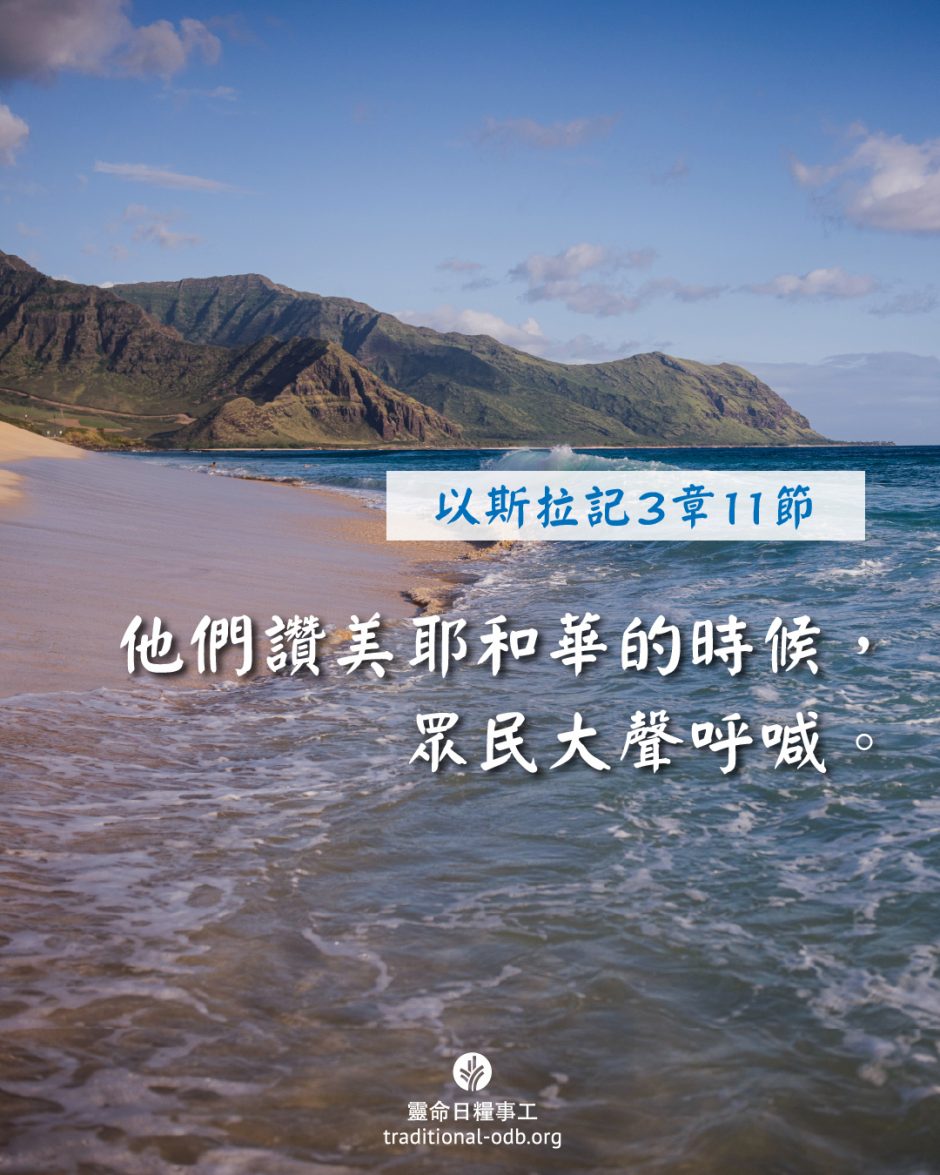 share_odb_2025-11-26 TC