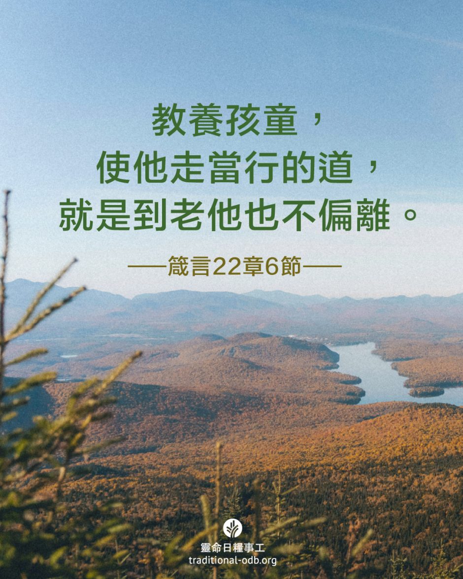 share_odb_2025-11-27 TC