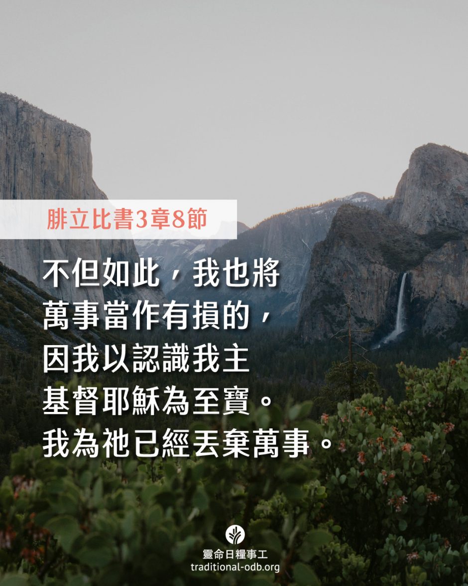 share_odb_2025-11-28 TC