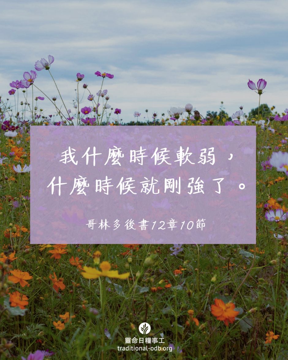 share_odb_2025-11-29 TC