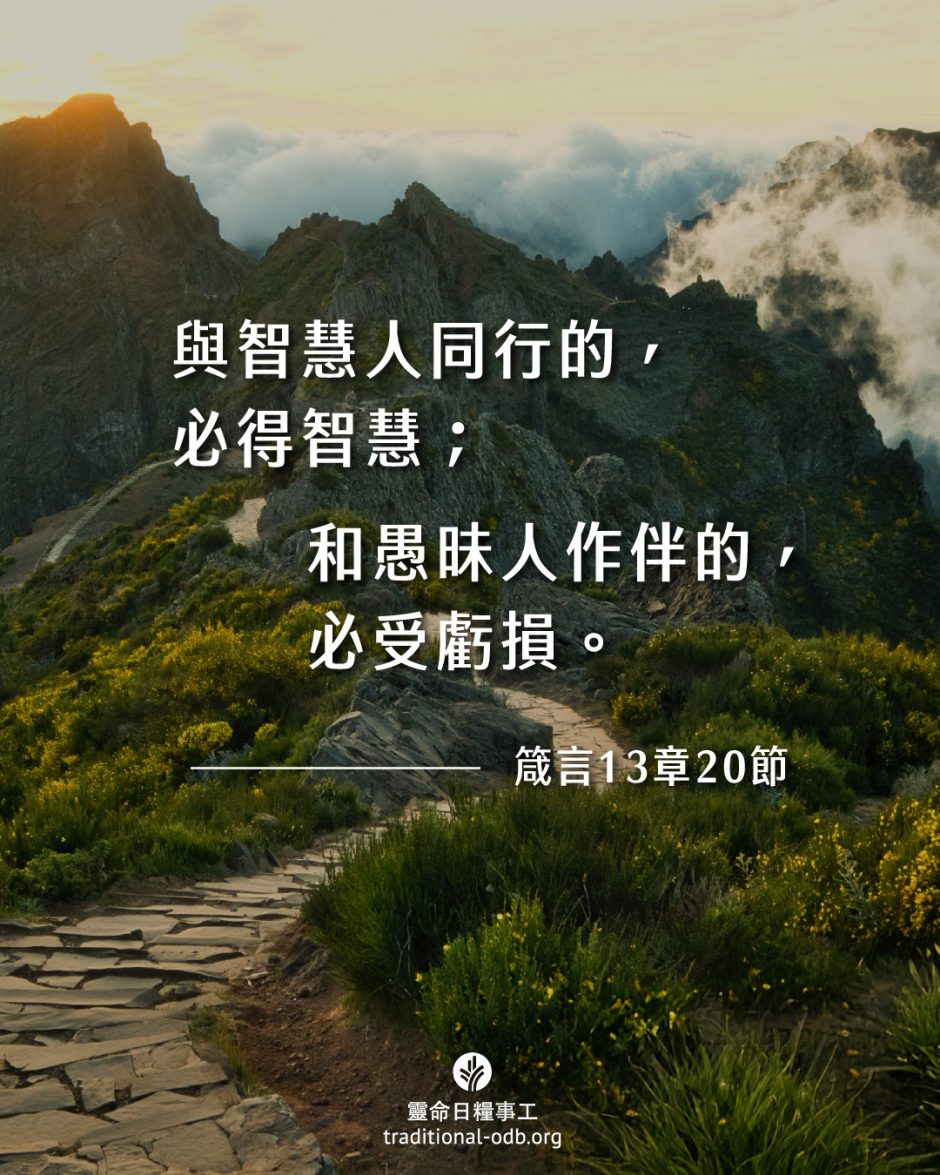 share_odb_2025-12-05 TC