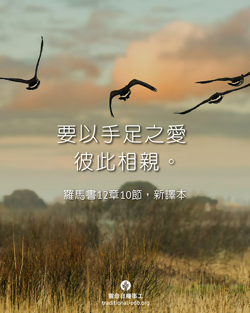 share_odb_2025-12-01 TC