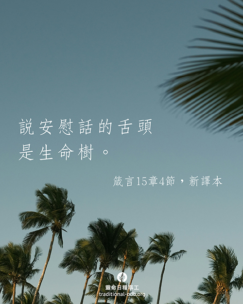 share_odb_2025-12-02 TC