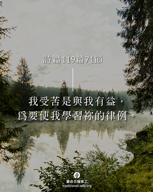 share_odb_2025-12-03 TC