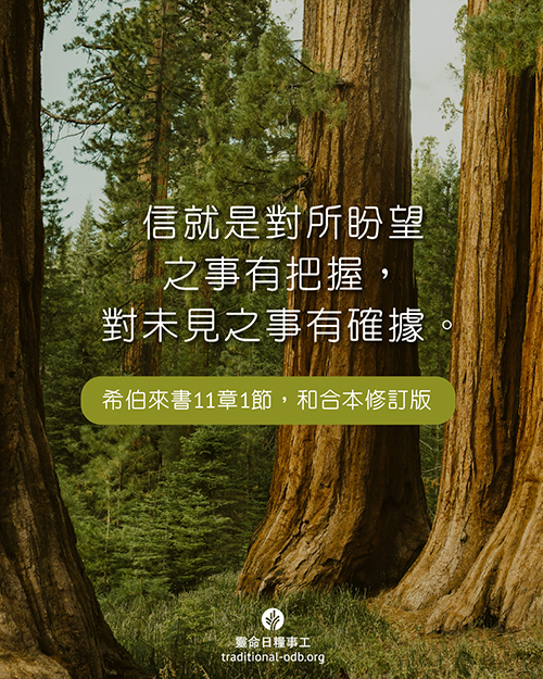 share_odb_2025-12-04 TC