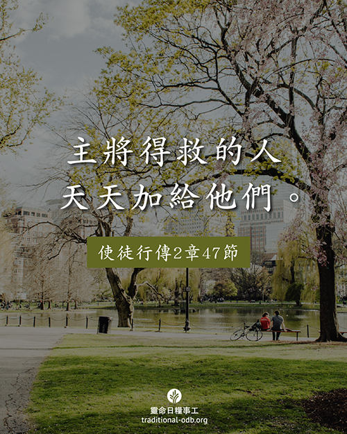 share_odb_2025-12-09 TC