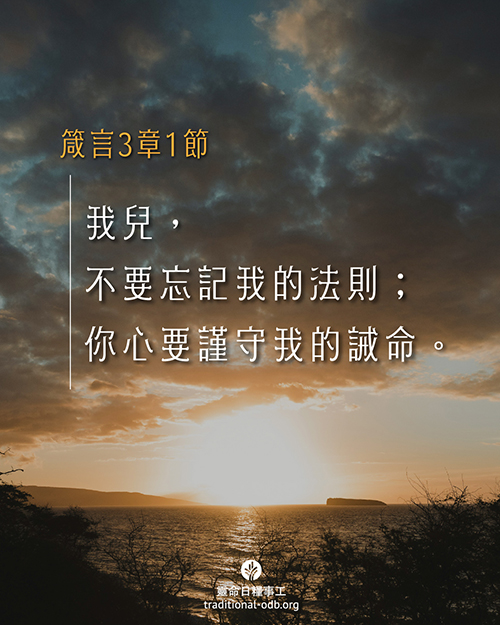 share_odb_2025-12-10 TC