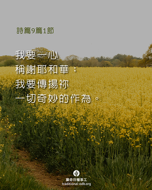 share_odb_2025-12-12 TC