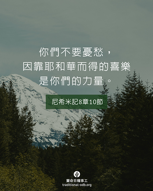 share_odb_2025-12-13 TC