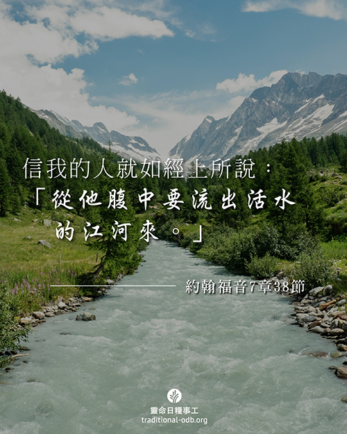 share_odb_2025-12-14 TC