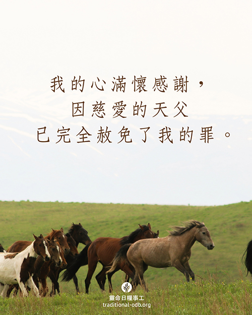 share_odb_2025-12-15 TC