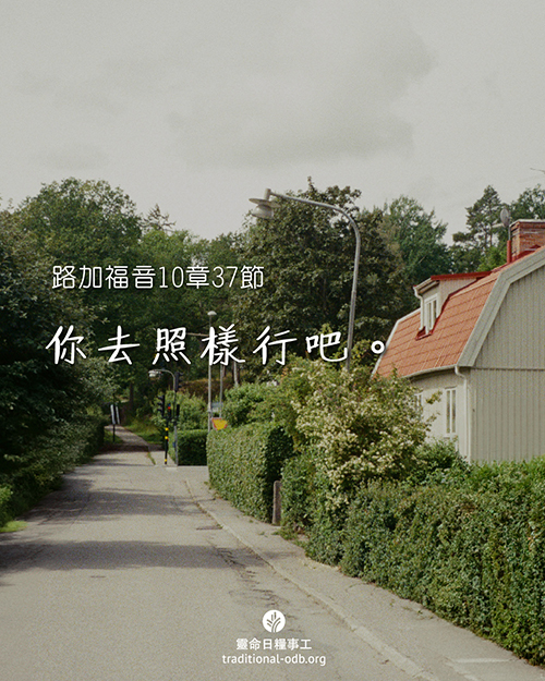 share_odb_2025-12-16 TC