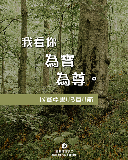 share_odb_2025-12-17 TC