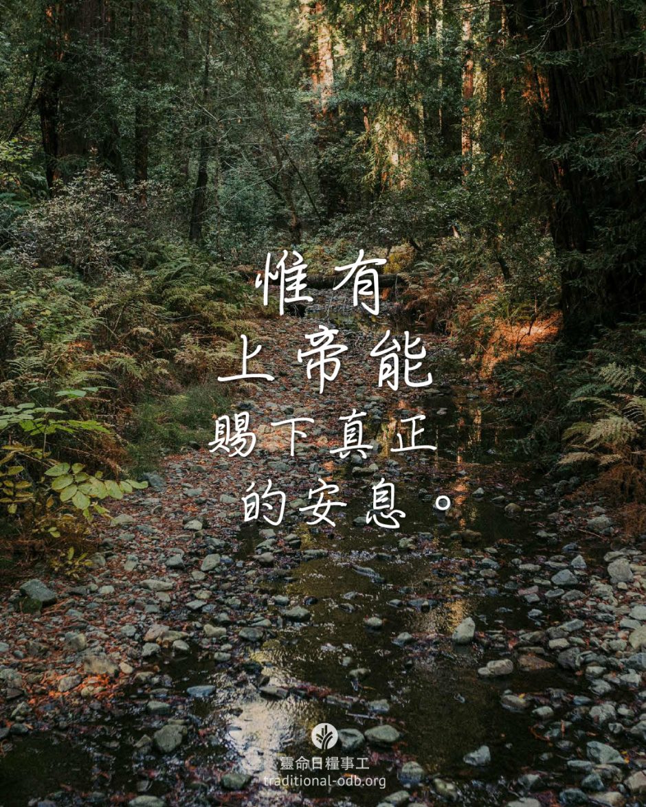 share_odb_2026-02-05 TC