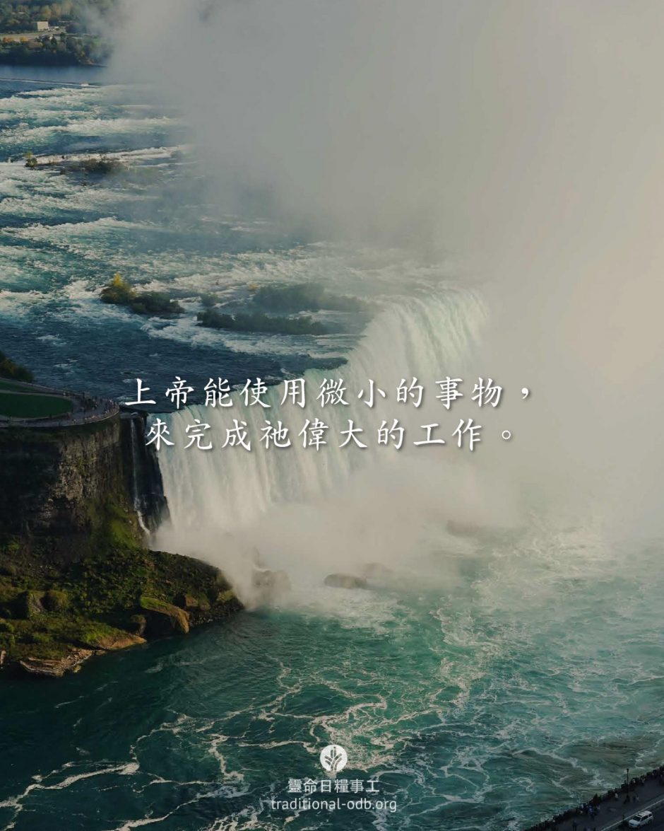 share_odb_2026-02-06 TC