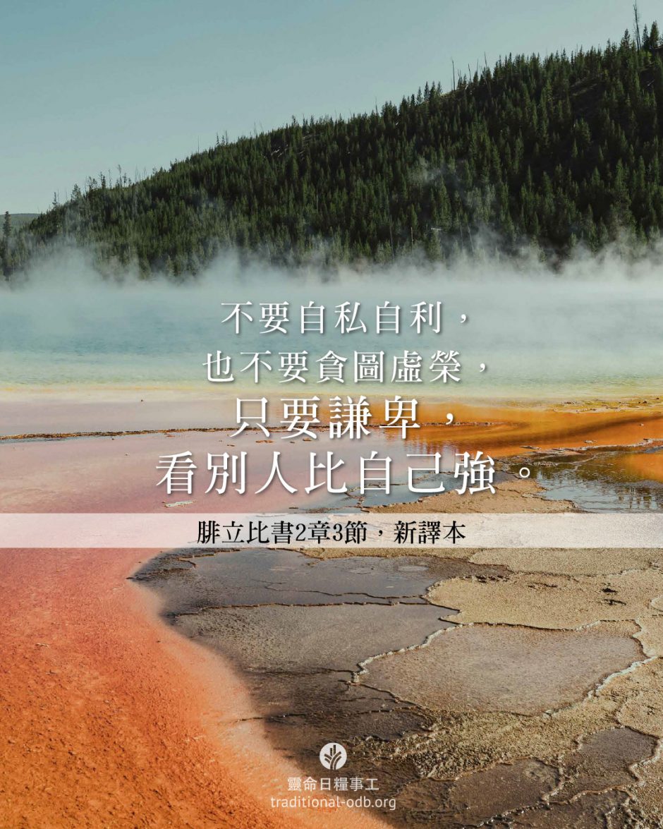 share_odb_2026-02-07 TC