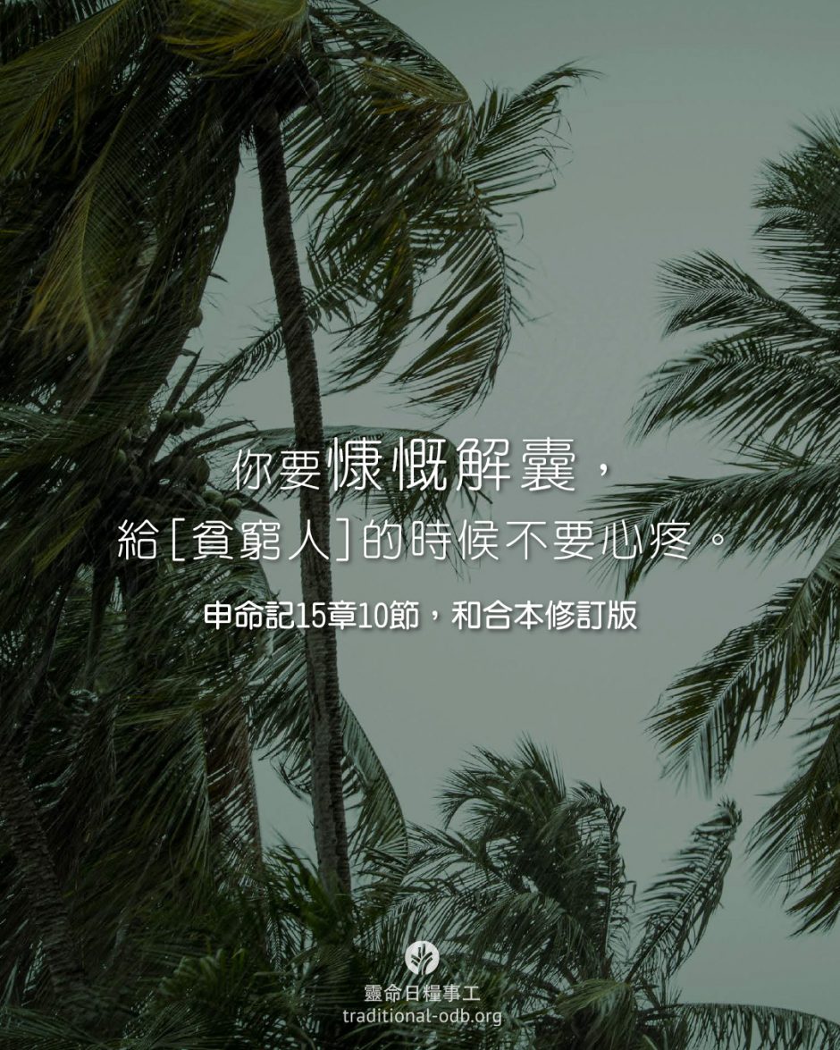 share_odb_2026-02-08 TC