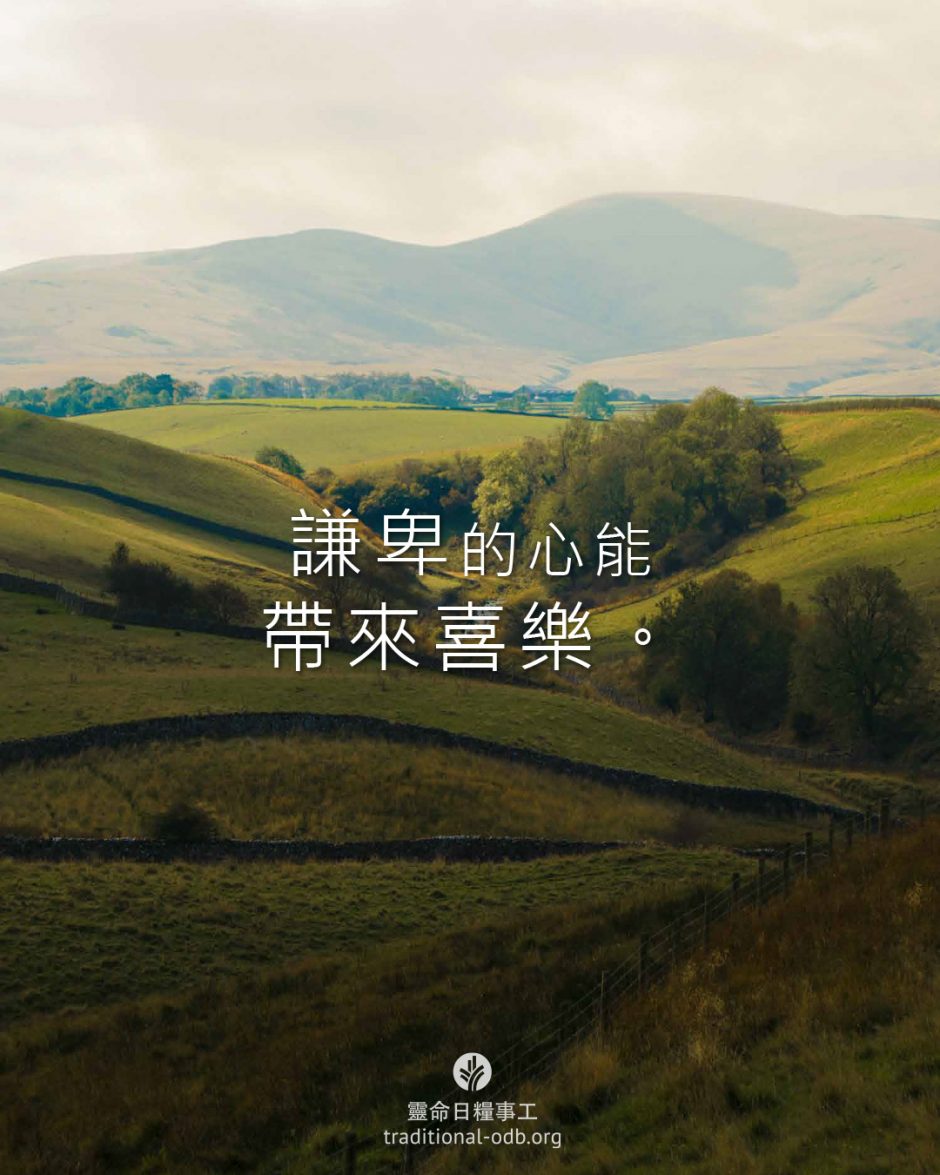 share_odb_2026-02-09 TC