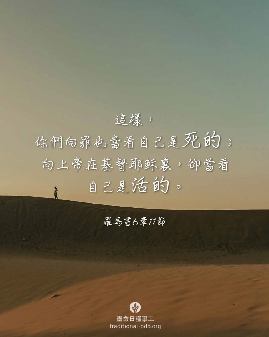 share_odb_2026-02-10 TC