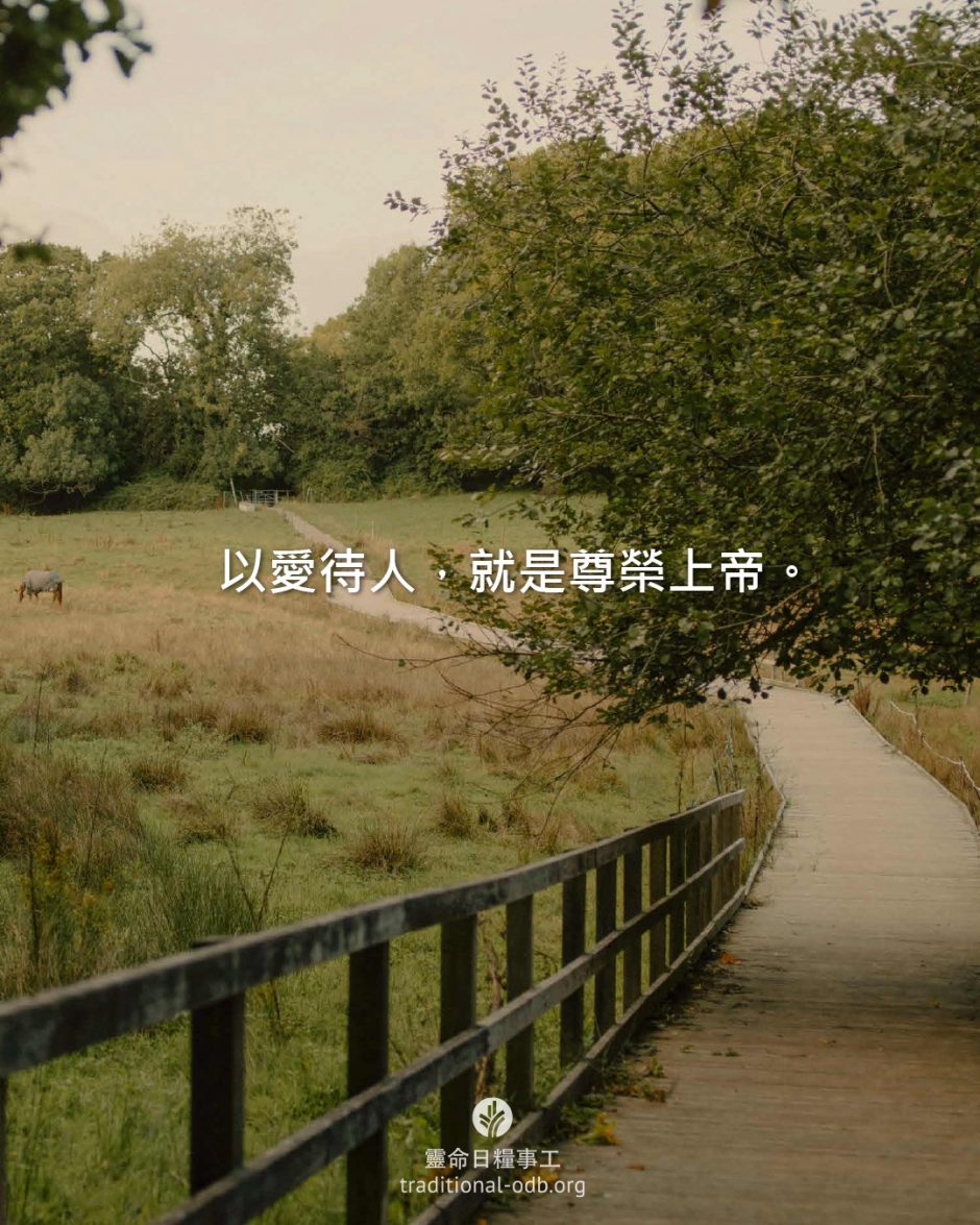 share_odb_2026-02-11 TC