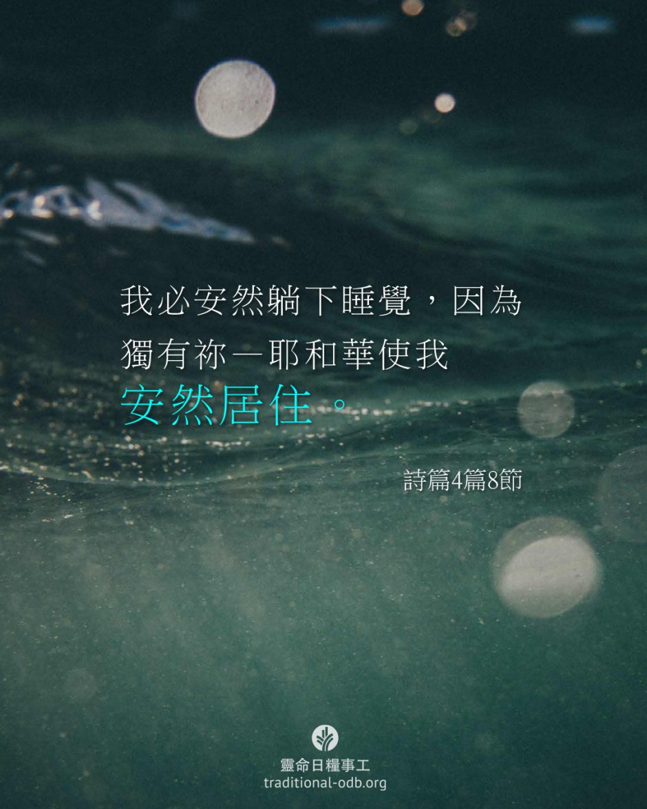 share_odb_2026-02-12 TC