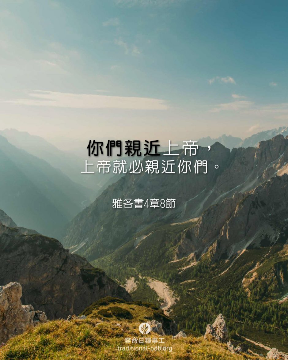 share_odb_2026-02-13 TC