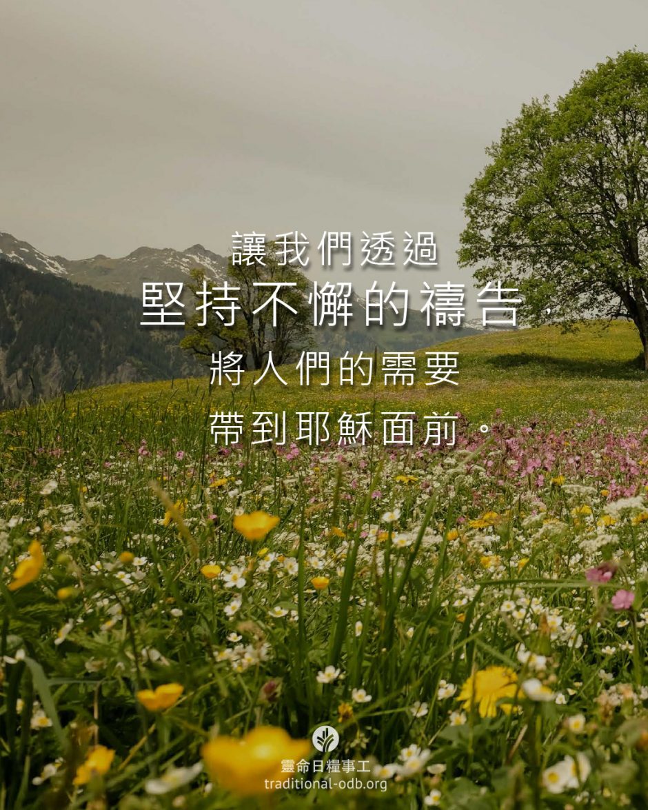 share_odb_2026-02-28 TC