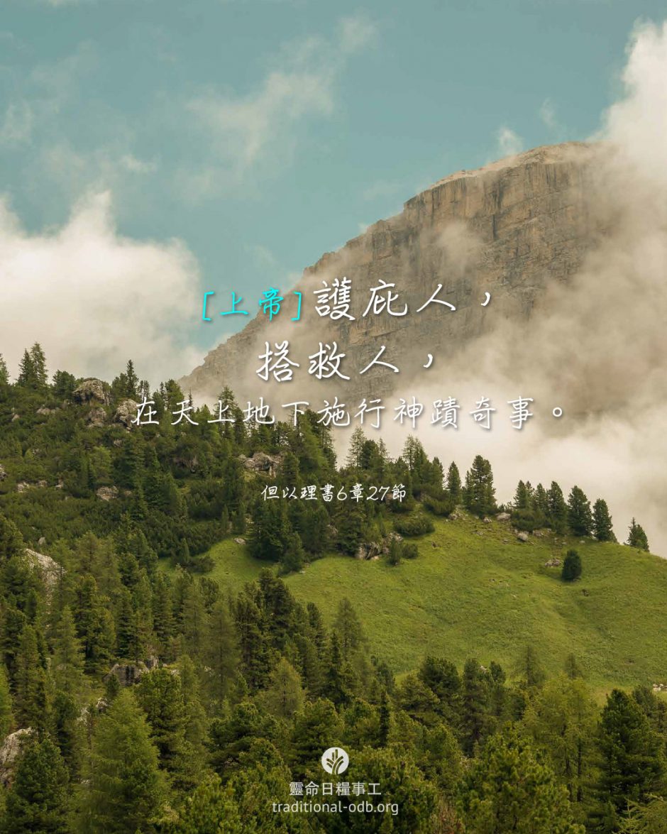 share_odb_2026-03-03 TC