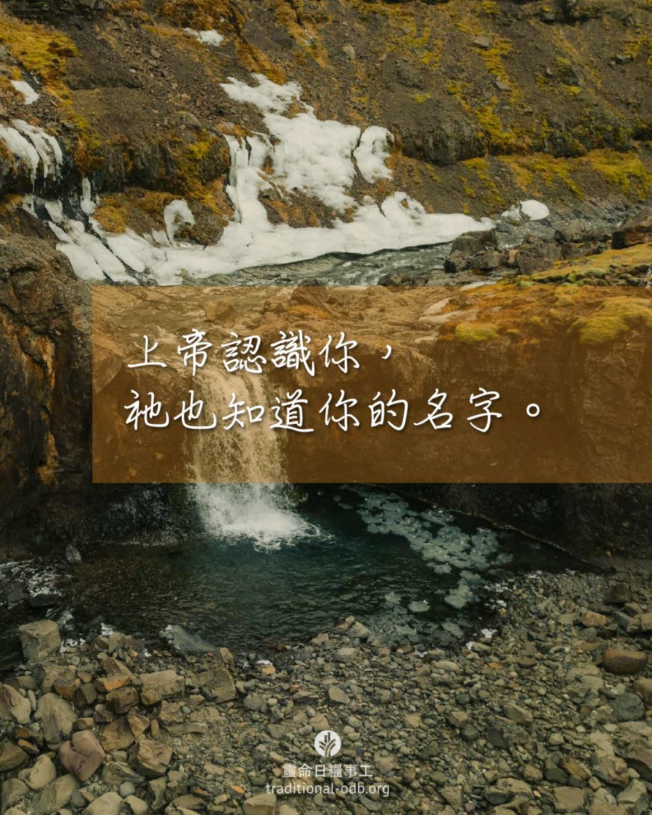 share_odb_2026-03-04 TC