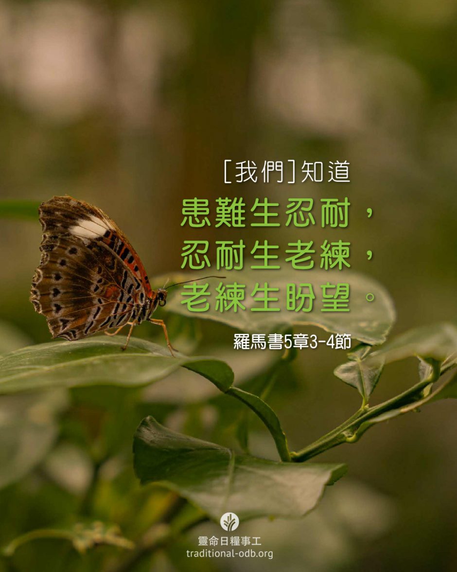 share_odb_2026-03-05 TC