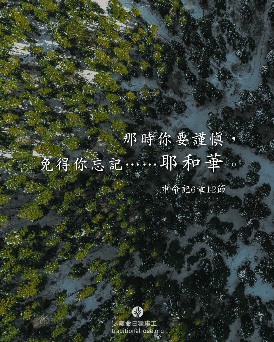 share_odb_2026-03-06 TC