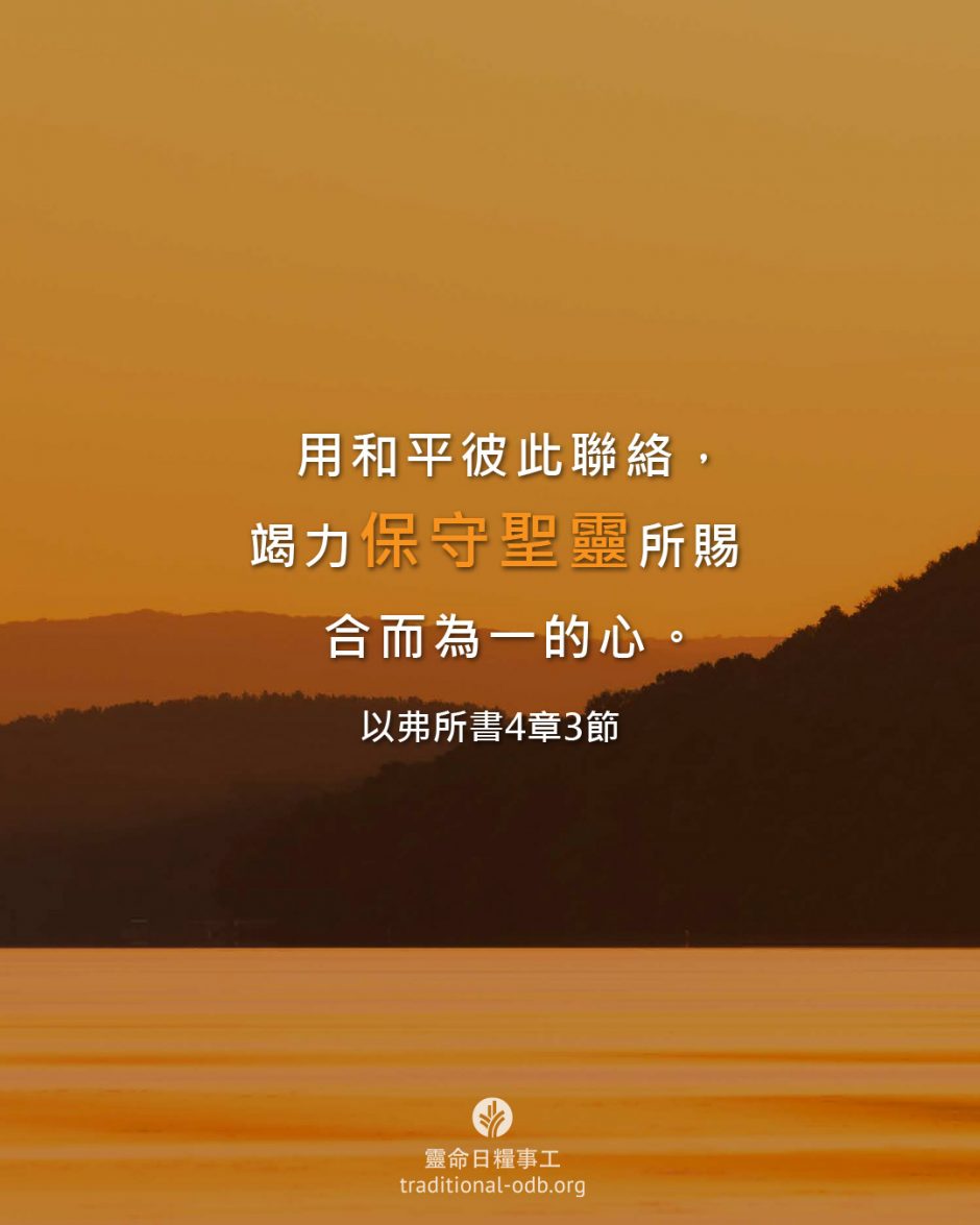 share_odb_2026-03-07 TC