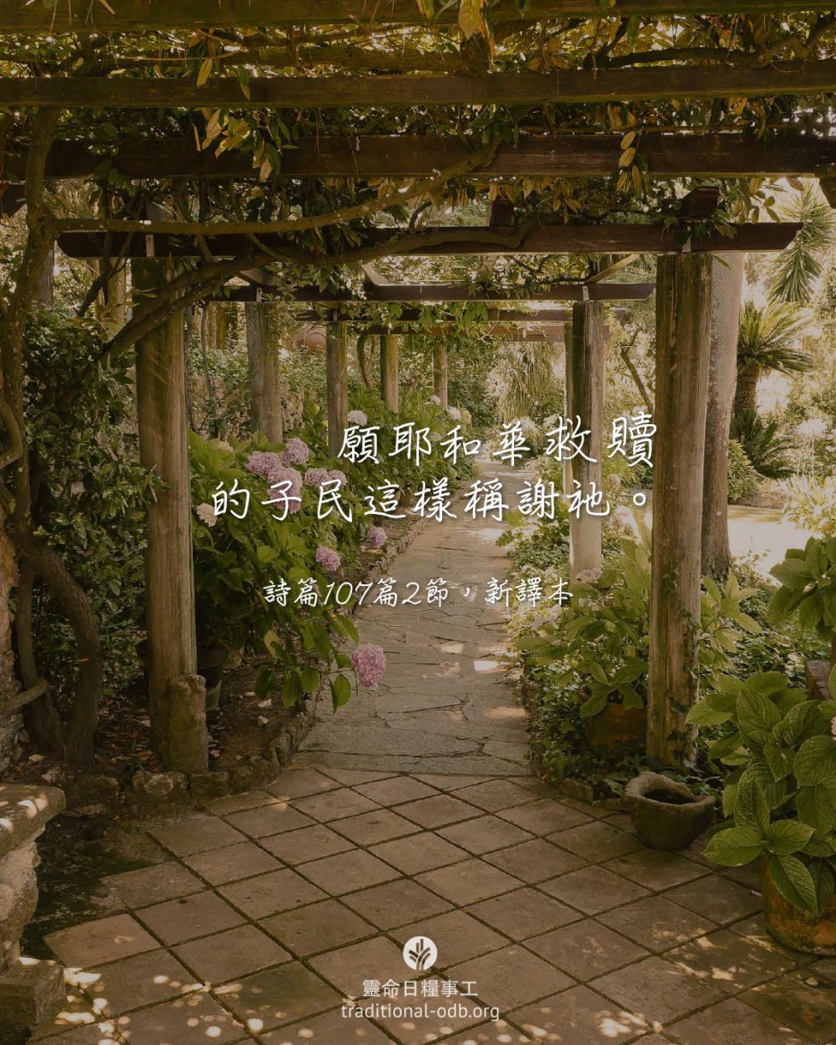 share_odb_2026-03-08 TC