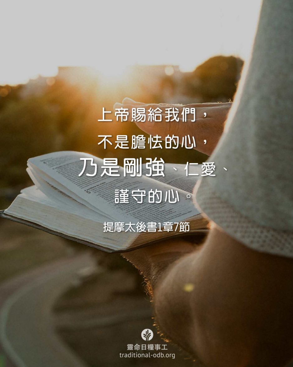 share_odb_2026-03-12 TC