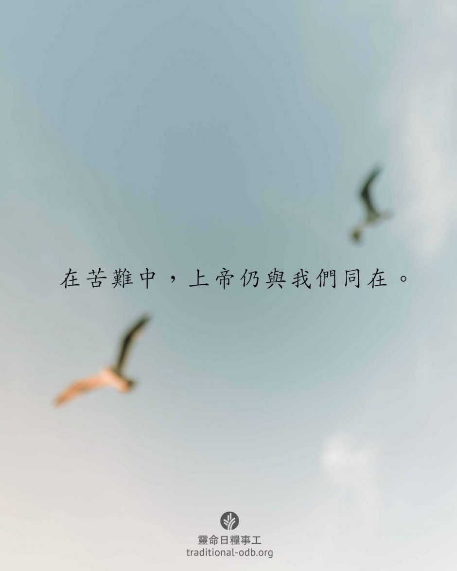 share_odb_2026-03-13 TC