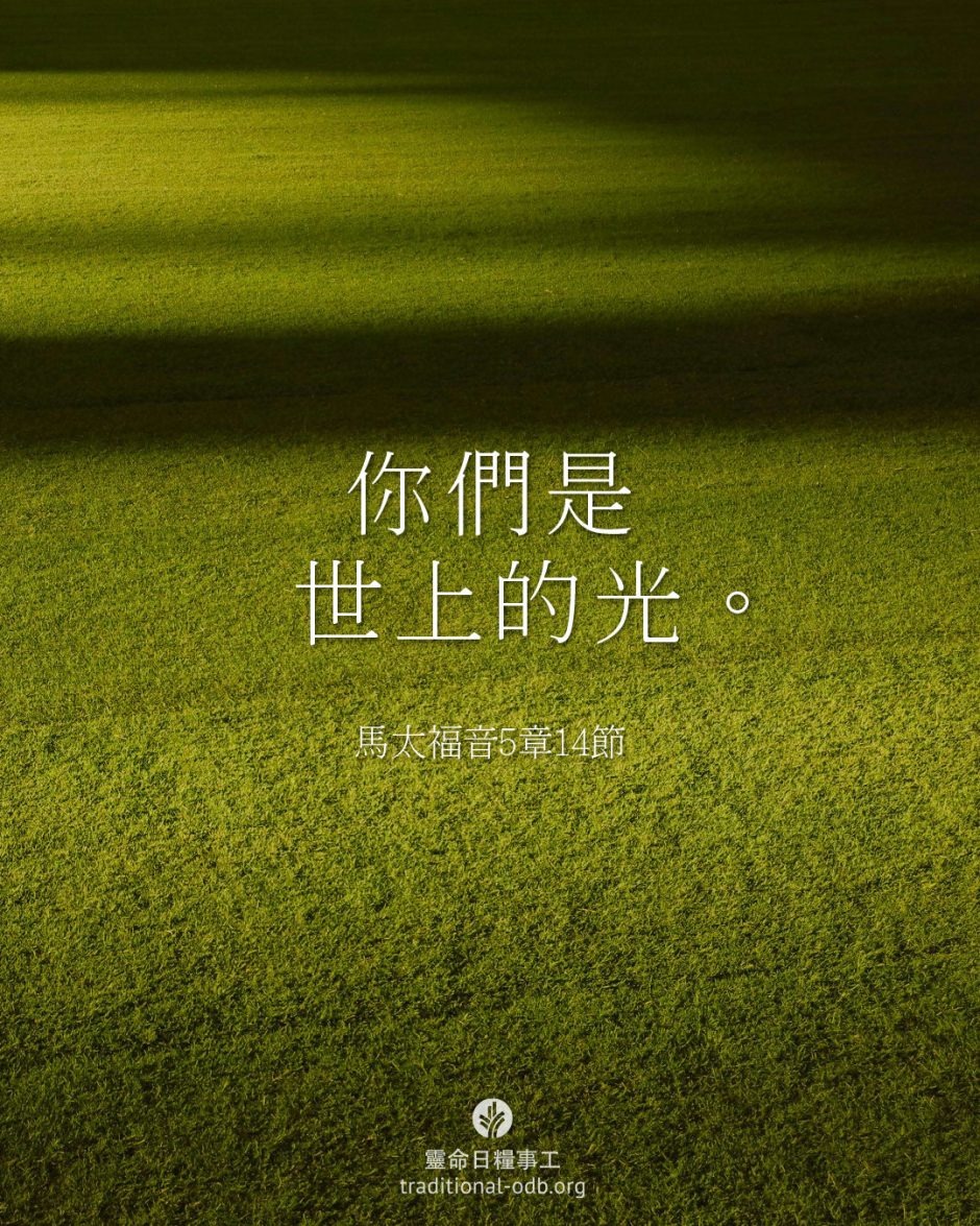 share_odb_2026-03-15 TC