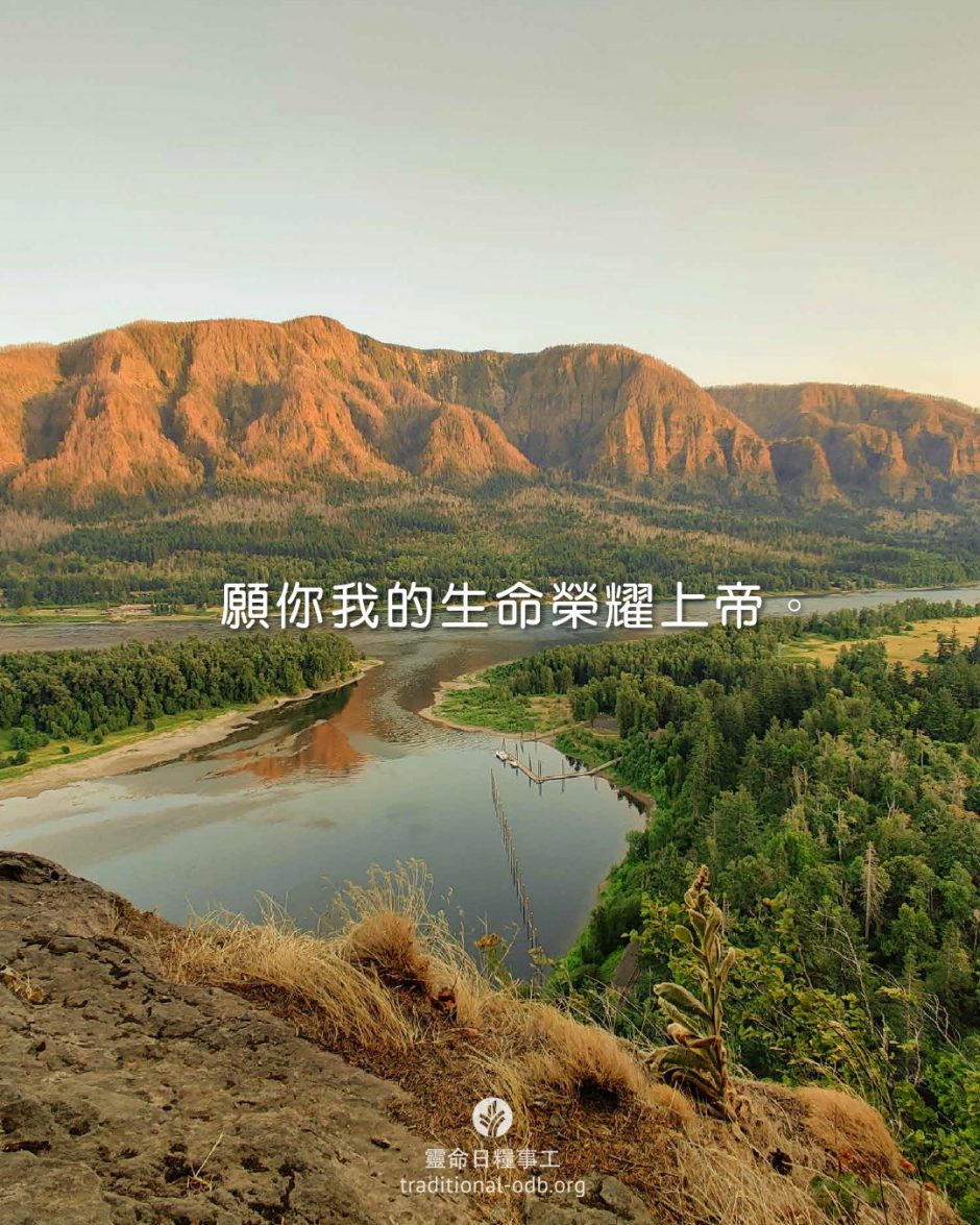 share_odb_2026-03-16 TC