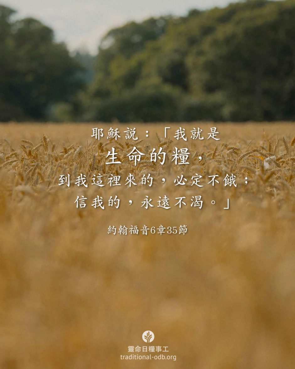 share_odb_2026-03-17 TC