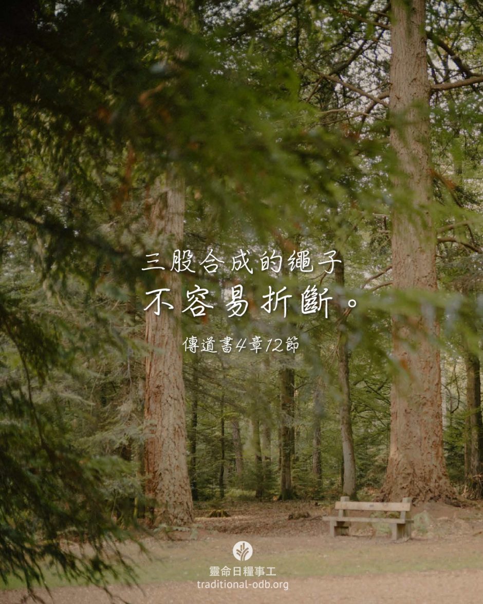 share_odb_2026-03-18 TC