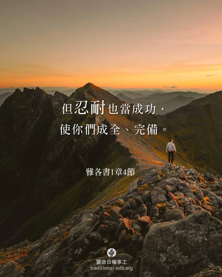 share_odb_2026-03-19 TC