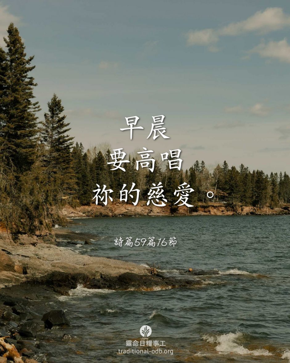 share_odb_2026-03-20 TC