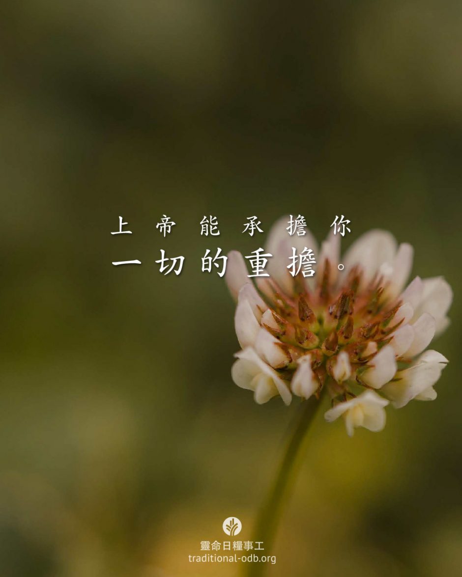 share_odb_2026-03-21 TC