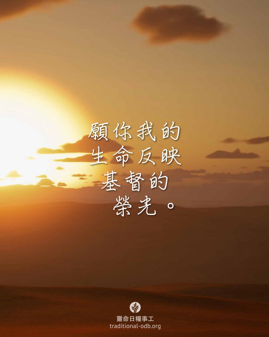 share_odb_2026-03-22 TC